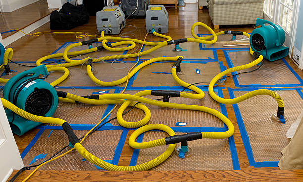 Professional Burst Pipe Water Damage technician working in Darlington, MD